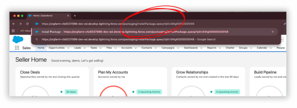 salesforce domain URL